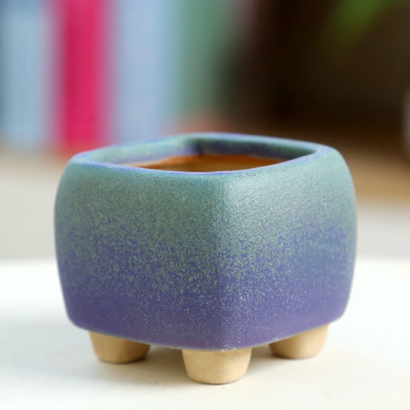 Training Pot Ceramic - Mini vaso de flores carnudo de