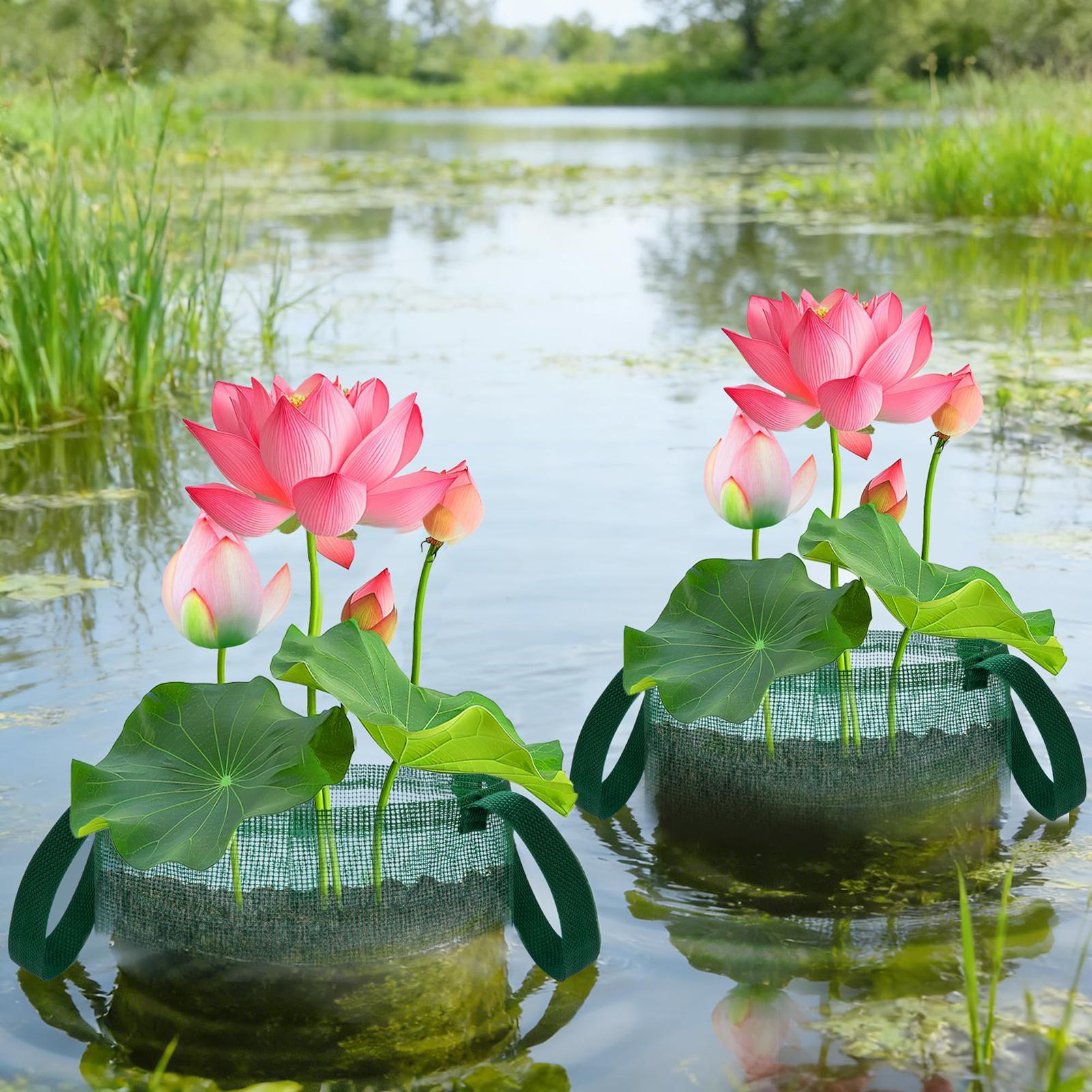 Bonsai Garden With Pond - Cestos para Bonsai (4 Peças) Dobráveis