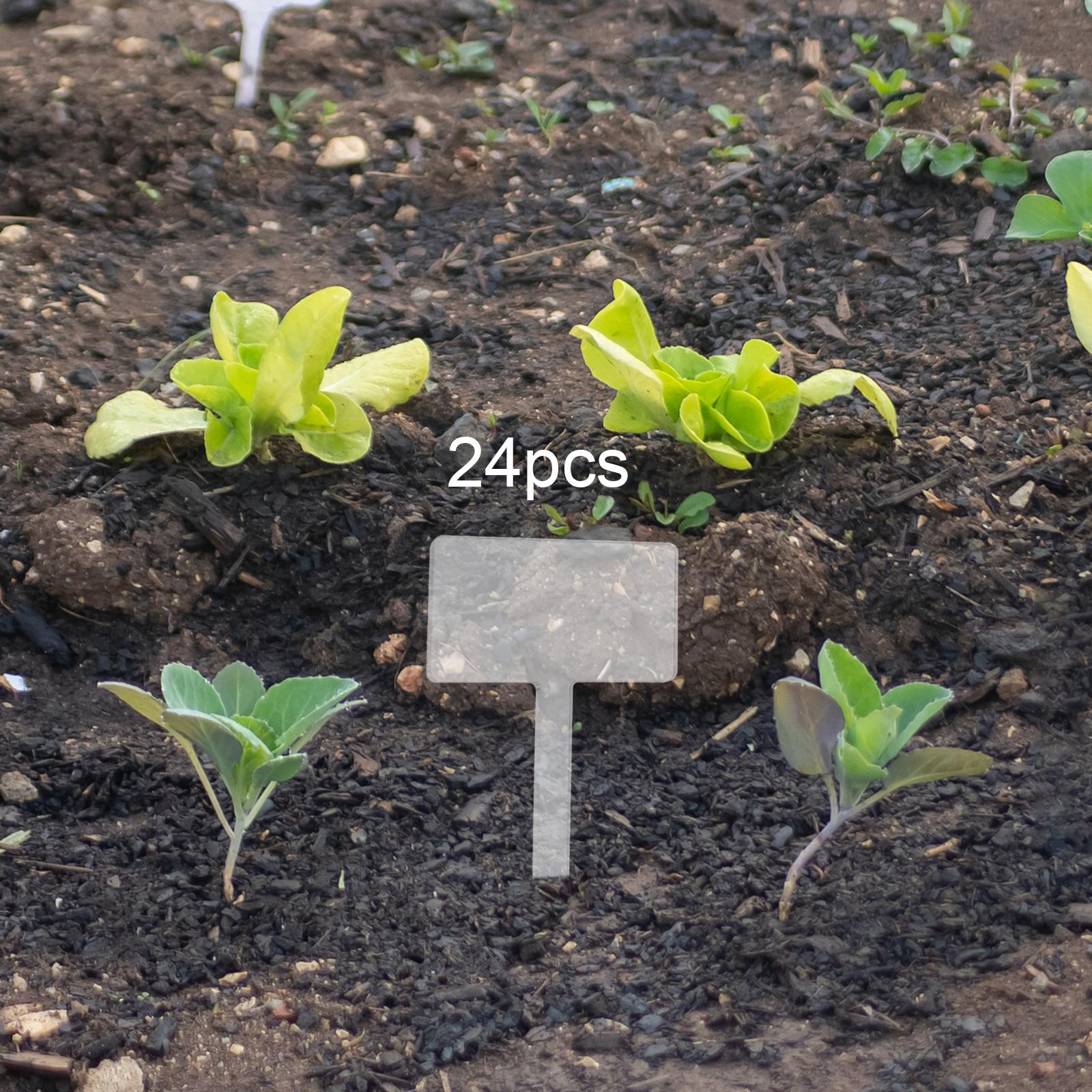 Bonsai Garden Name - 24x Etiquetas de Acrílico para Plantas,