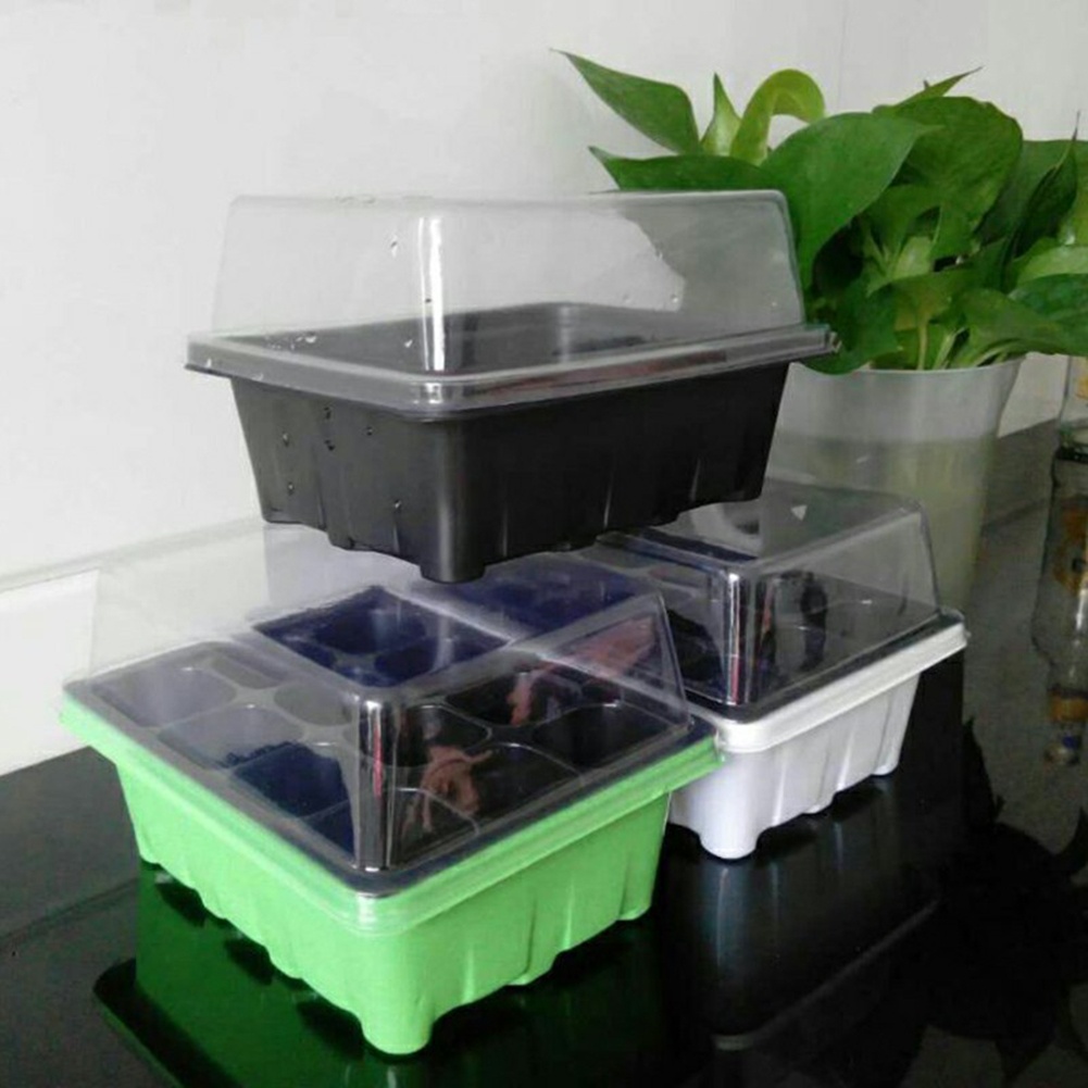 Kit de Iniciação de Sementes c - Bonsai Garden Grow Kit avaliação e preço