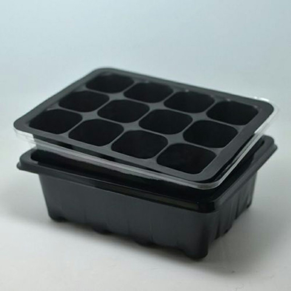 Kit de Iniciação de Sementes c - Bonsai Garden Grow Kit avaliação e preço