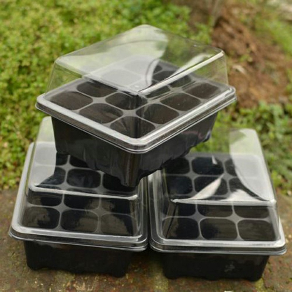 Kit de Iniciação de Sementes c - Bonsai Garden Grow Kit avaliação e preço