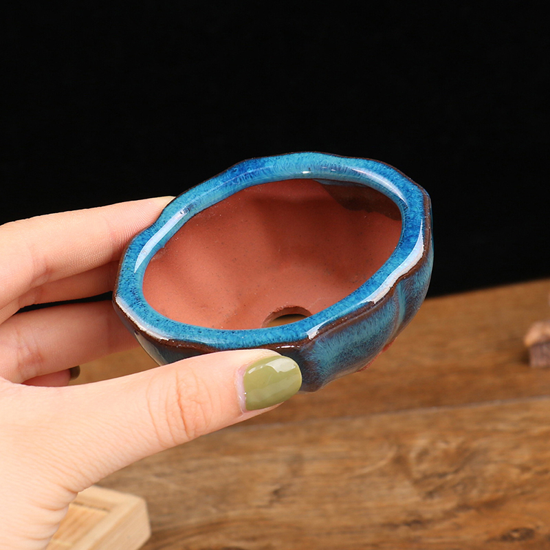 Panelas de bonsai estilo chinê - Training Pot Ceramic avaliação e preço