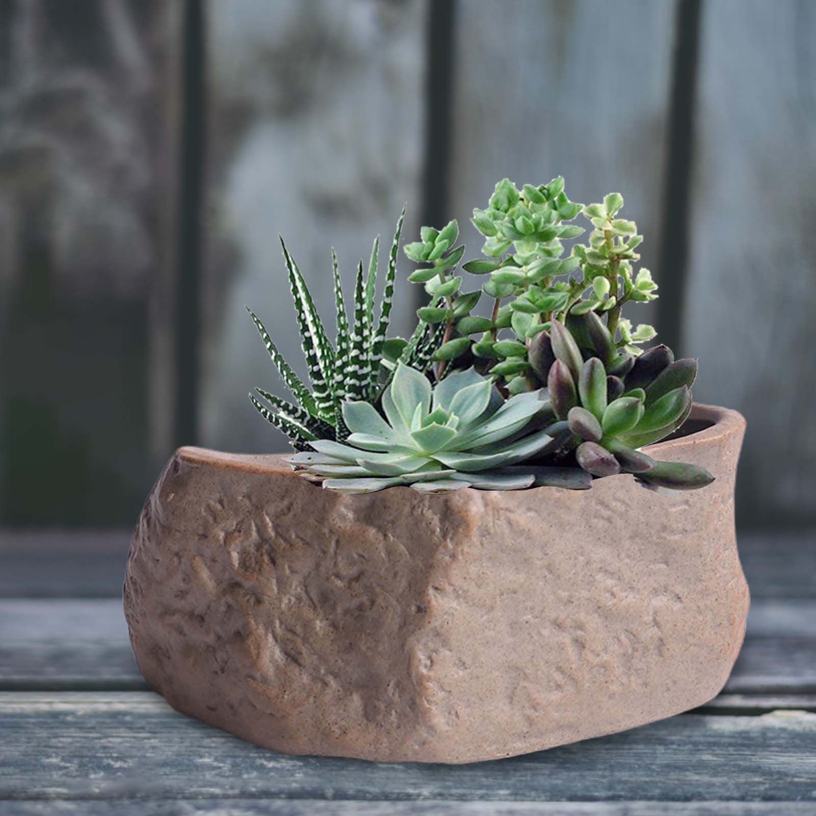 Pote suculento de cerâmica em  - Training Pot Ceramic avaliação e preço