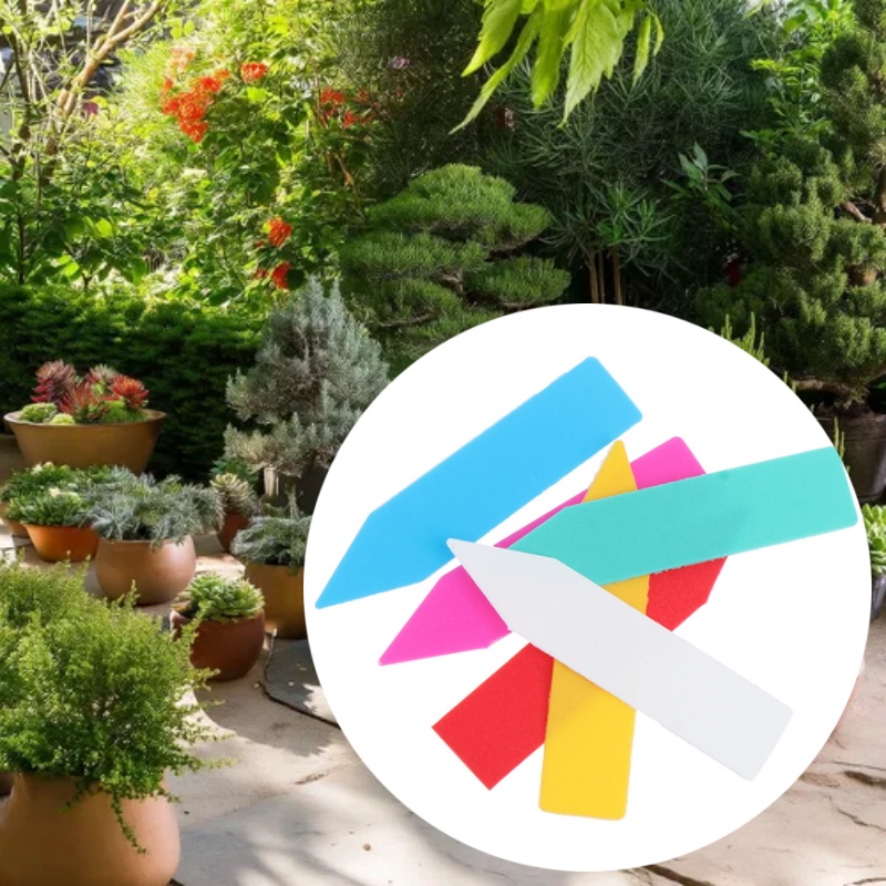 100 peças 5*1cm etiqueta de pl - Bonsai Garden Name avaliação e preço