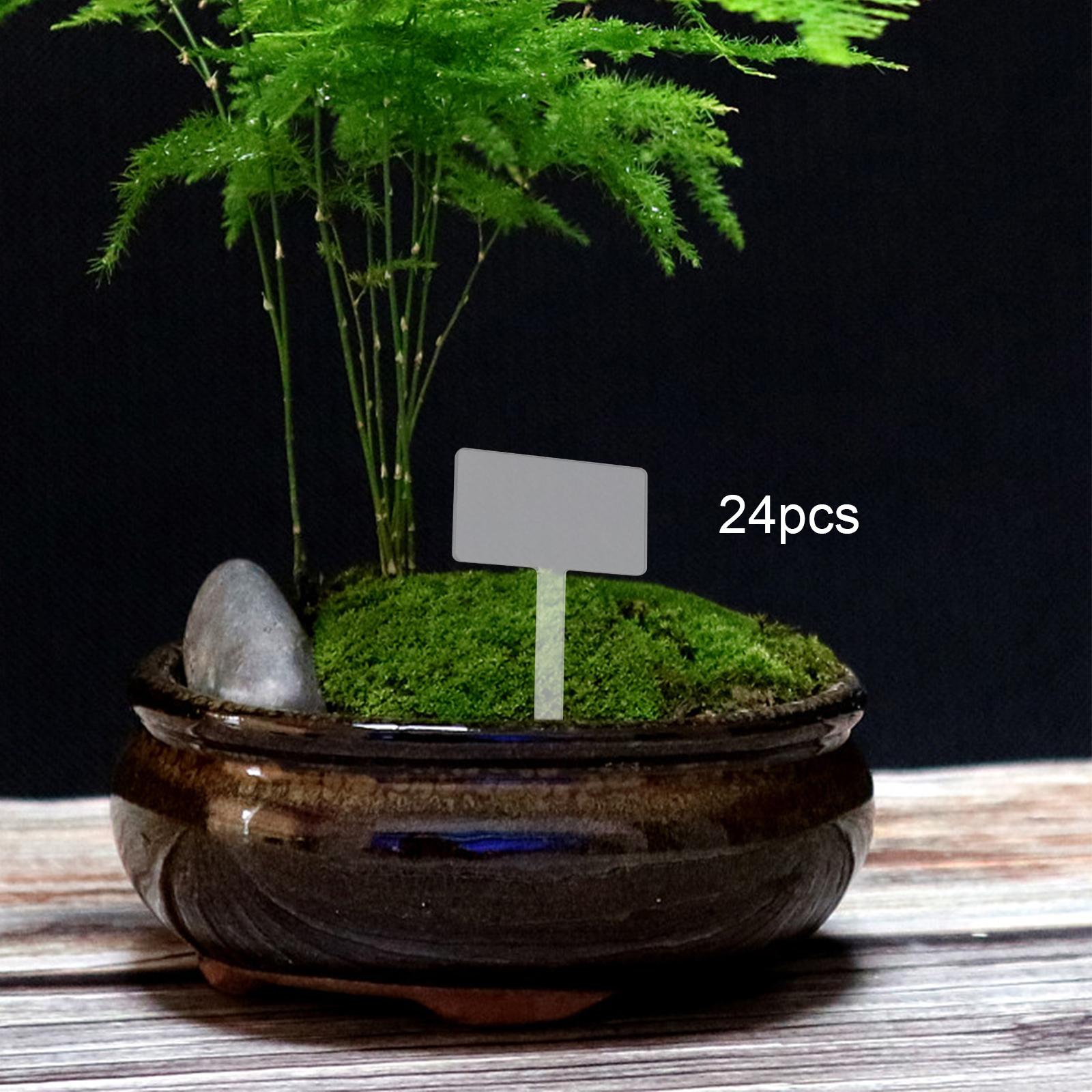 24x Etiquetas de Acrílico para - Bonsai Garden Name avaliação e preço