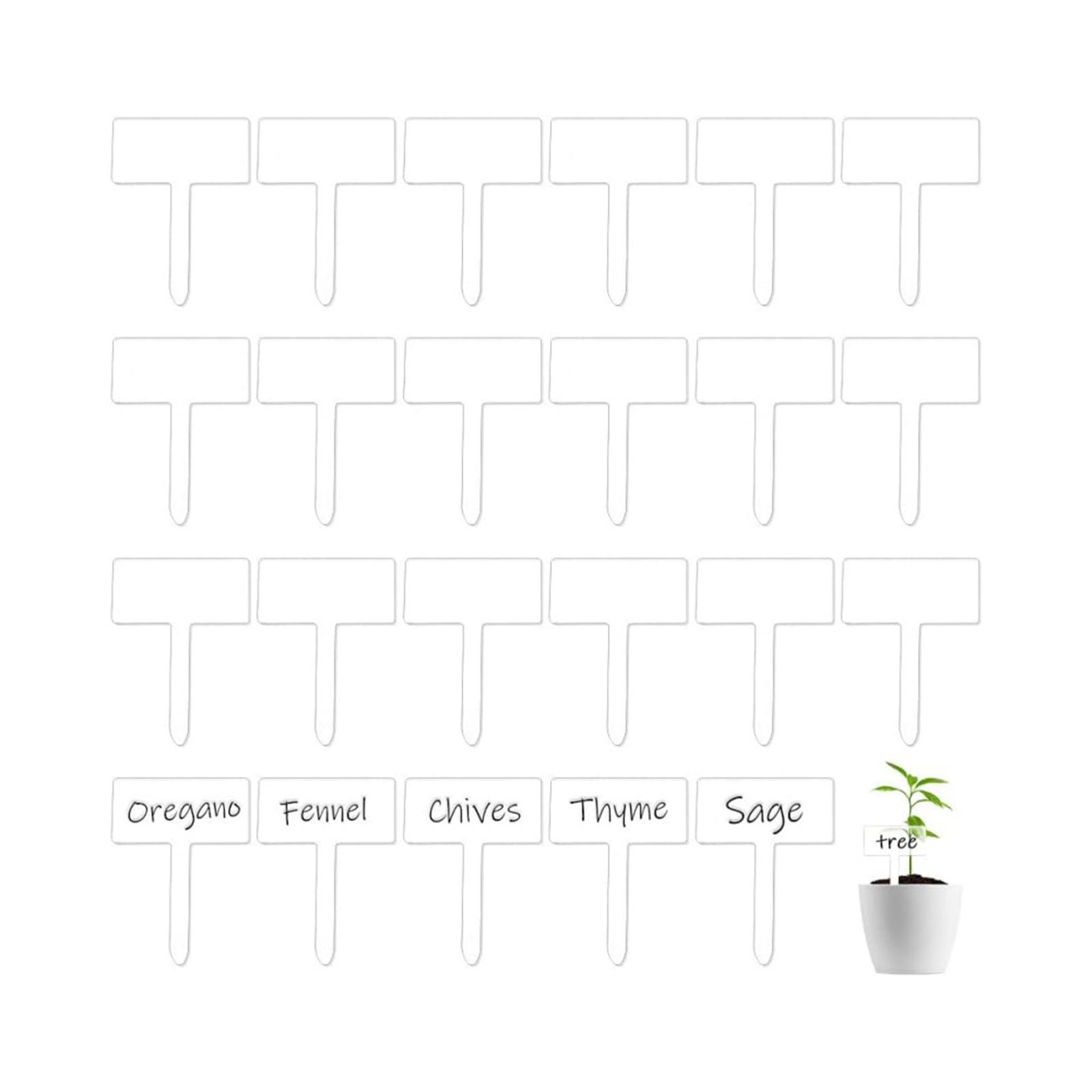 24x Etiquetas de Acrílico para - Bonsai Garden Name avaliação e preço